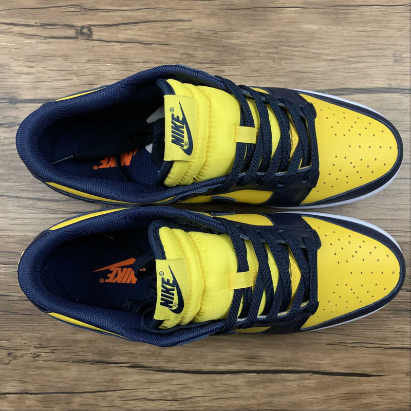 Tênis Nike Sb Low Michigan