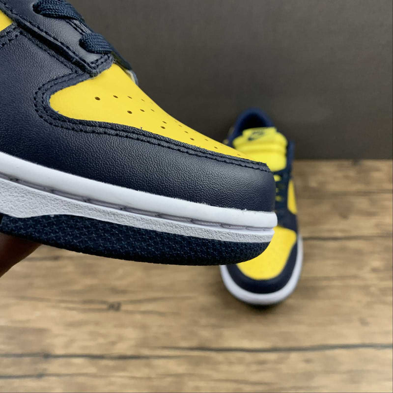 Tênis Nike Sb Low Michigan